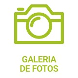 futureprint-icones-geral-site-verde-galeria-fotos
